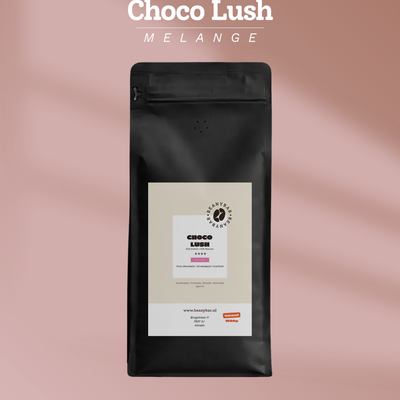 Choco Lush (Direct trade) - 1kg